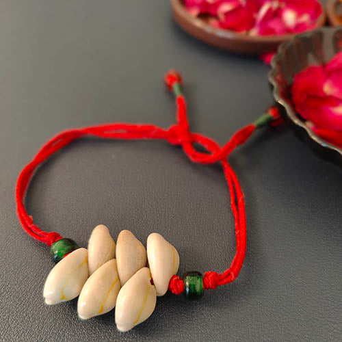 Crimson Cowrie Traditional Adult Rakhi