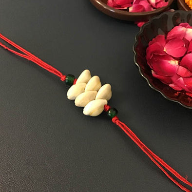 Crimson Cowrie Traditional Adult Rakhi